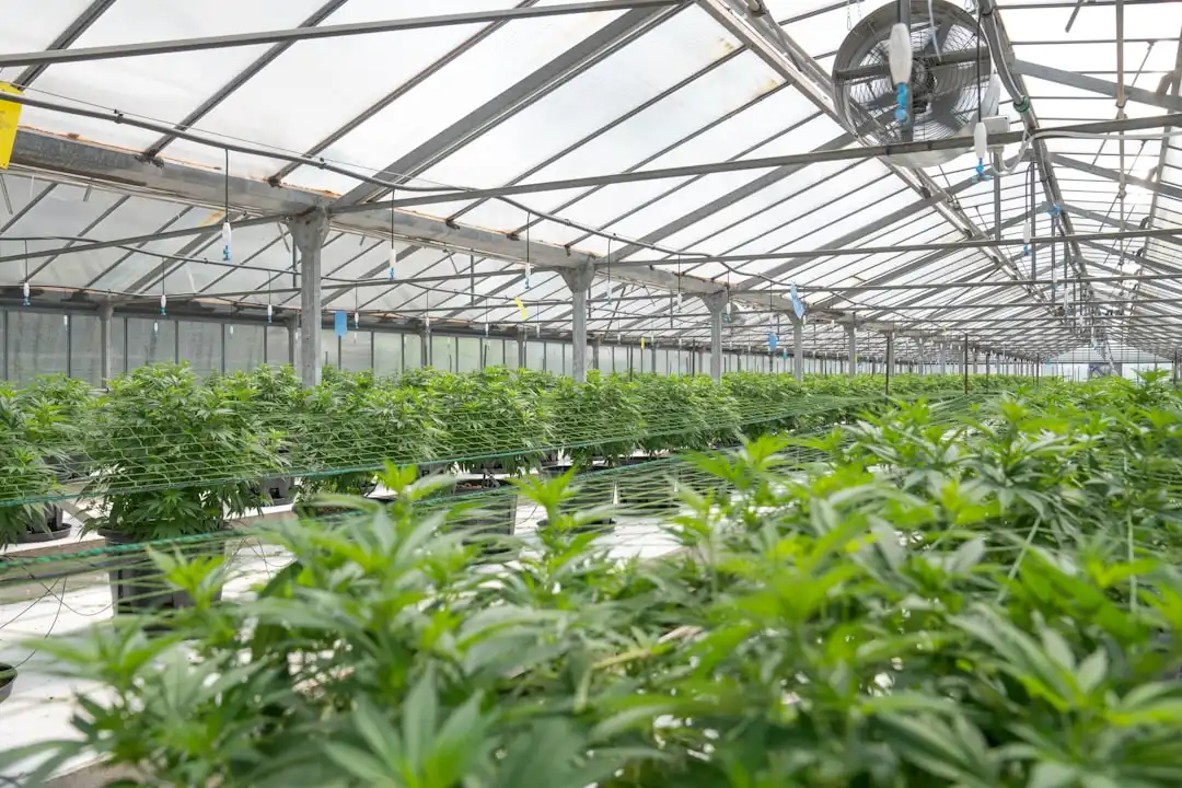 2025版服装定制量体标准更新,企业工装采购需关注哪些细节